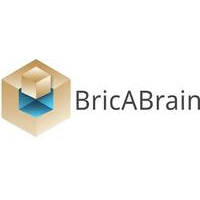 BricABrain